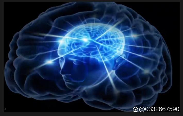 某影视公司老板被限高消费，旗下多部待播剧恐受影响